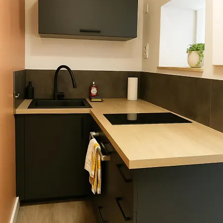 Lumineux T2, 2 Pers, Jardin & Terrasse Au Calme