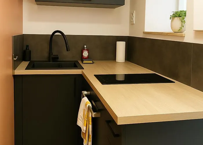 Lumineux T2, 2 Pers, Jardin & Terrasse Au Calme